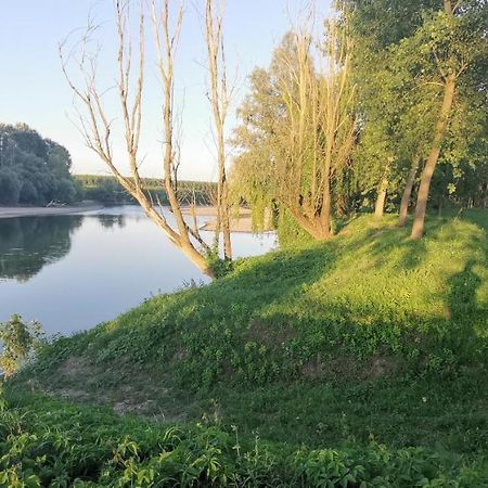 Villa Pertini Appartamento Primo Piano Nel Parco Oglio Sud Canneto sull'Oglio ภายนอก รูปภาพ